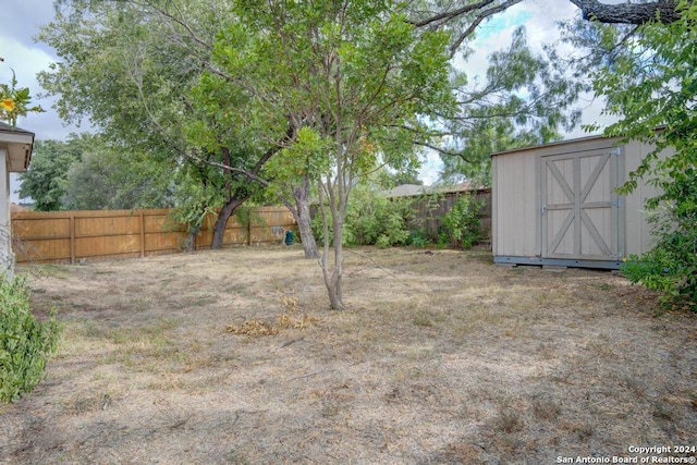 view of yard with a storage shed