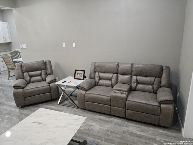 living room with hardwood / wood-style flooring