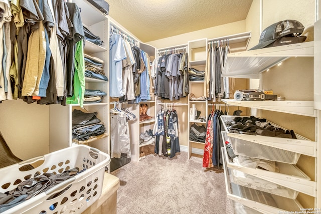 spacious closet with carpet floors