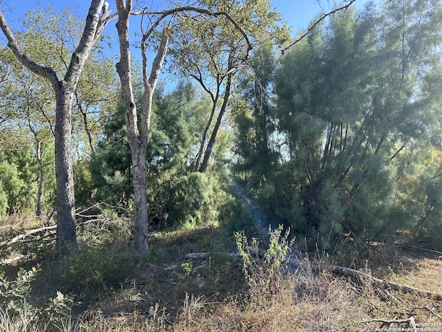 9446 Espada, San Antonio, TX 78214 - view of local wilderness with a wooded view