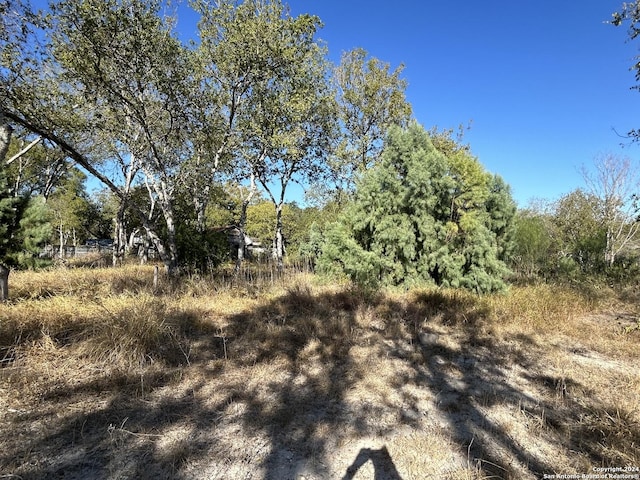 9446 Espada, San Antonio, TX 78214 - view of nature