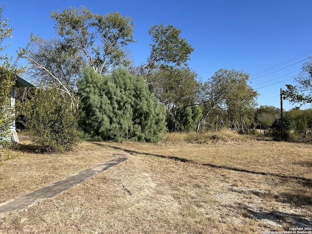 9446 Espada, San Antonio, TX 78214 - view of nature