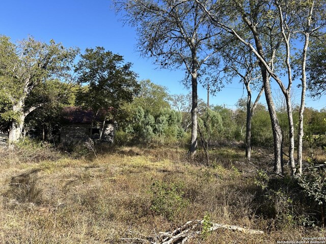9446 Espada, San Antonio, TX 78214 - view of nature