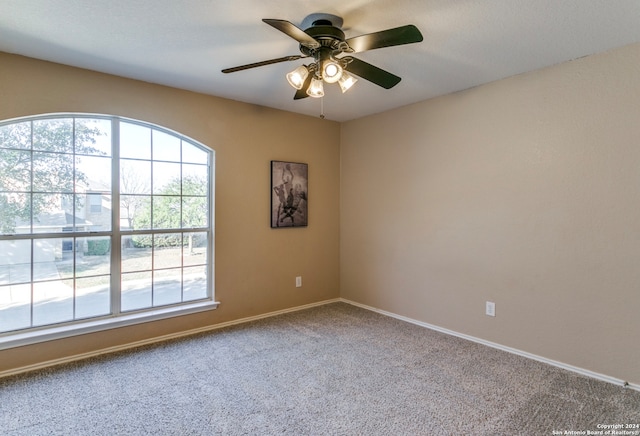 spare room with ceiling fan and carpet floors