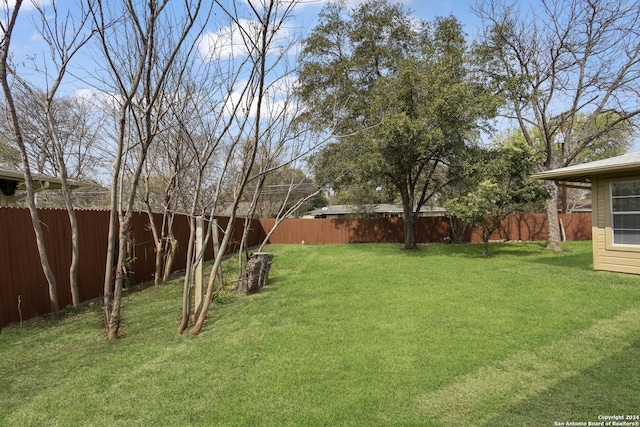 view of yard featuring a fenced backyard