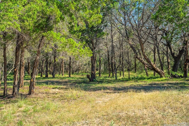 Listing photo 3 for 665 Town Creek Rd, Kerrville TX 78028