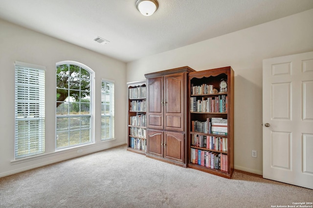 interior space featuring light carpet