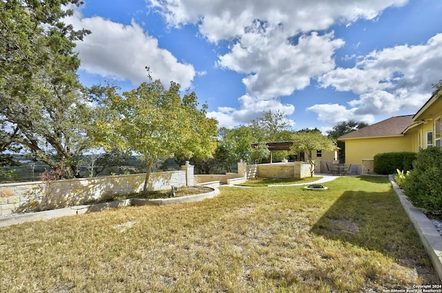 view of yard featuring a patio area