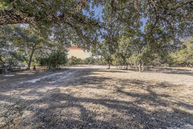 1627 Forest Lake Dr, Spring Branch, TX 78070 - view of yard