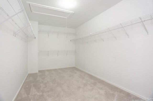 14514 Redwood Vly, Helotes, TX 78023 - walk in closet featuring attic access and carpet floors