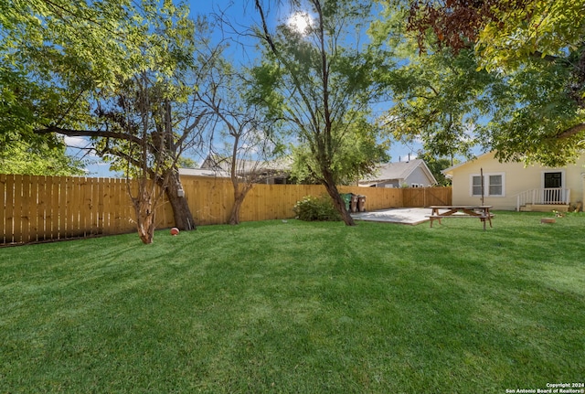 view of yard featuring a patio area