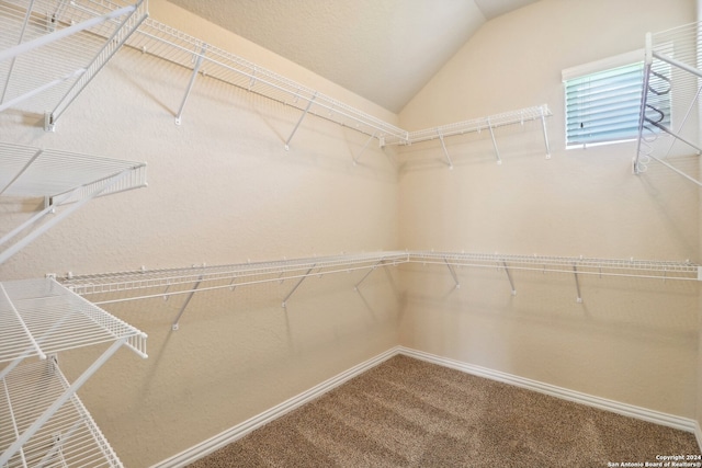 spacious closet with vaulted ceiling and carpet floors