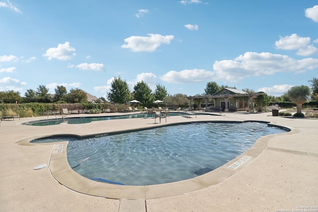 view of swimming pool with a patio