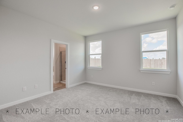 carpeted spare room featuring a wealth of natural light