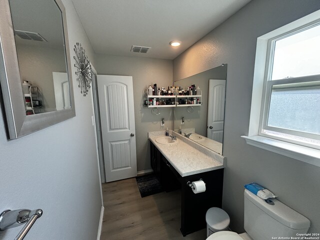 bathroom with vanity, toilet, and wood-type flooring