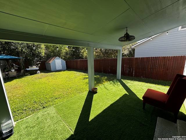 view of yard with a shed