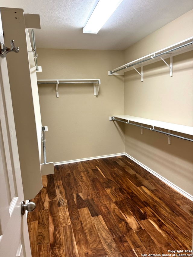 walk in closet featuring dark hardwood / wood-style flooring