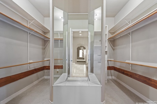 spacious closet featuring light carpet