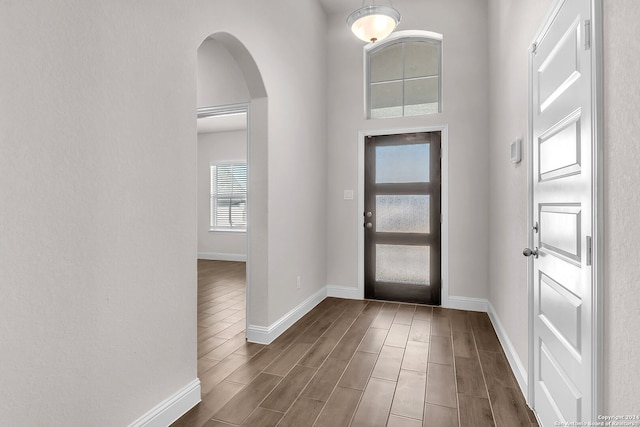 entrance foyer featuring dark wood-type flooring