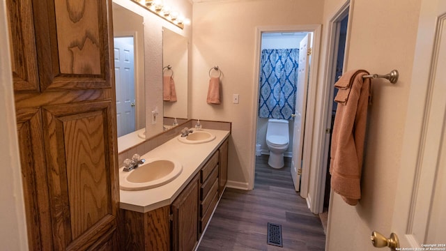 bathroom featuring toilet, vanity, and wood-type flooring