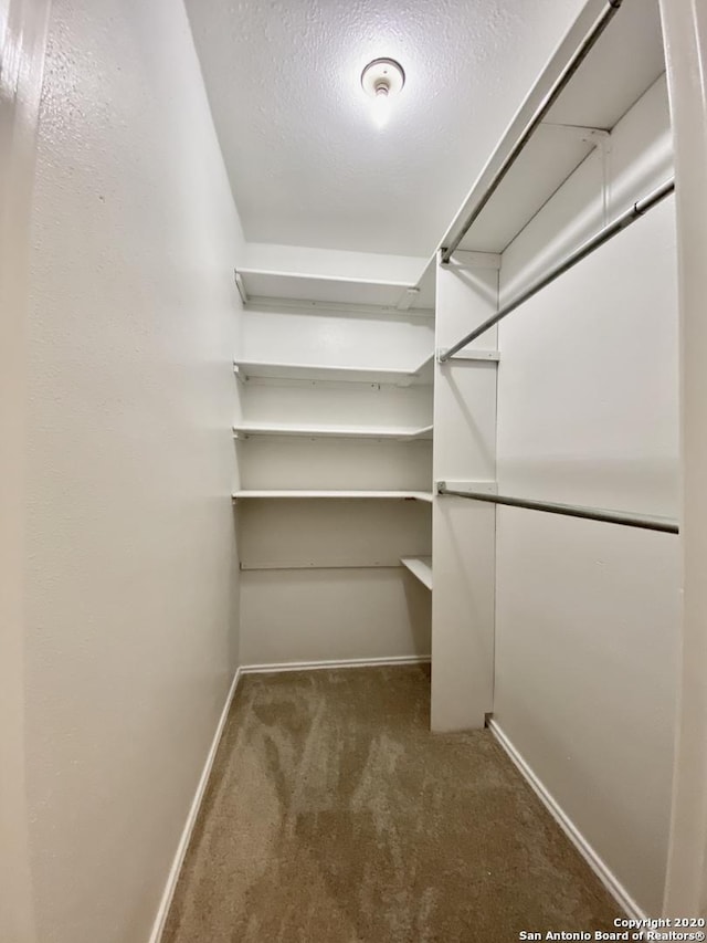 walk in closet featuring carpet flooring