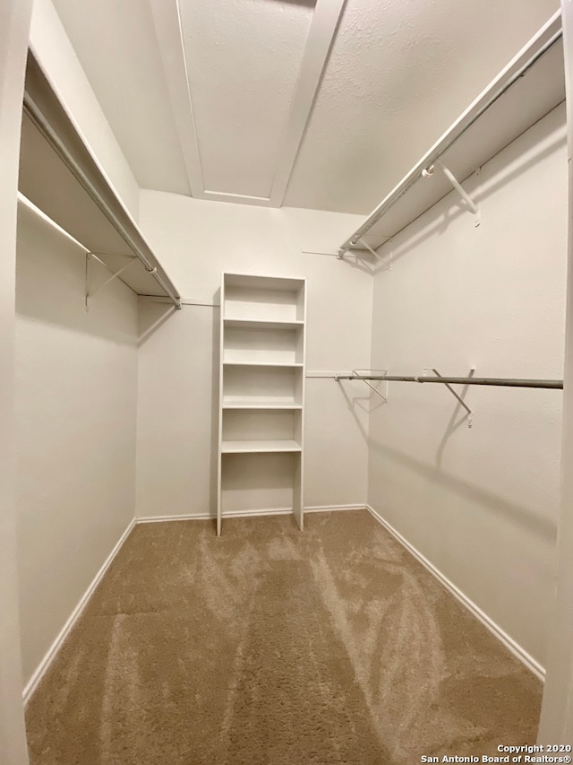 spacious closet with carpet