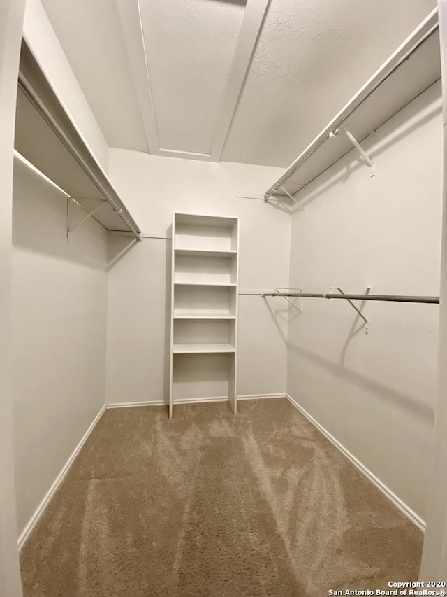 spacious closet featuring carpet flooring