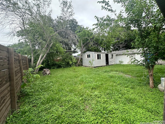 view of yard with a shed