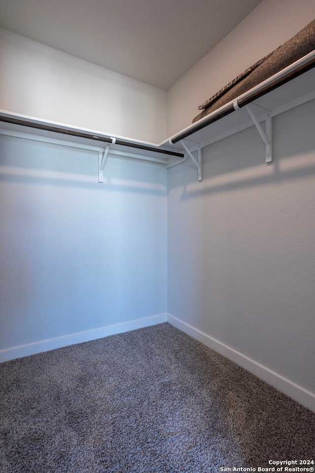 walk in closet with carpet