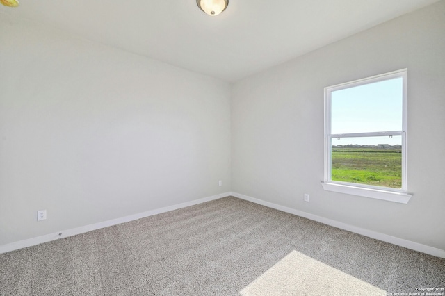 unfurnished room featuring carpet floors and a healthy amount of sunlight