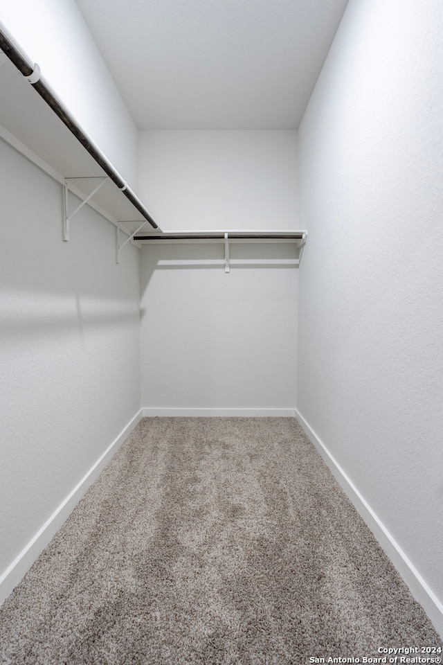 spacious closet featuring carpet