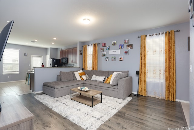 living room with dark hardwood / wood-style floors