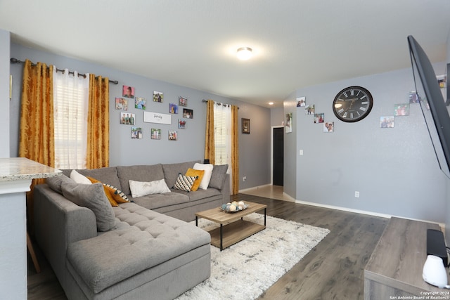 living room with dark wood-type flooring