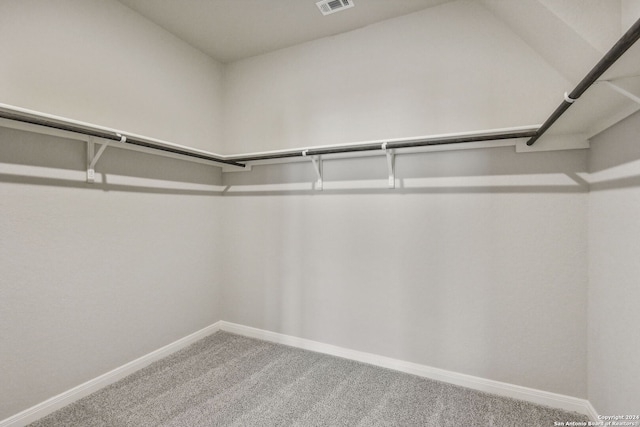 walk in closet with carpet flooring