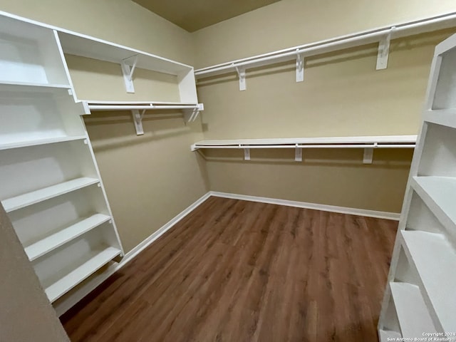 spacious closet featuring dark wood-type flooring