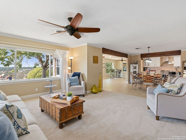 living room featuring crown molding, a healthy amount of sunlight, a textured ceiling, and ceiling fan