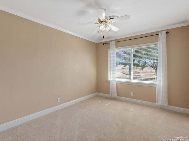 carpeted empty room with ceiling fan and ornamental molding