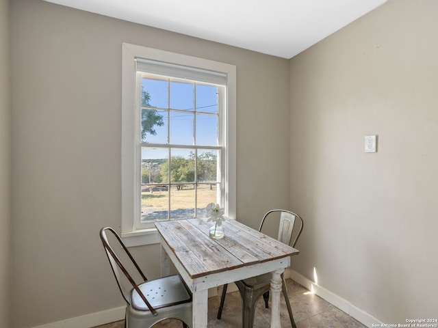 dining room with a wealth of natural light