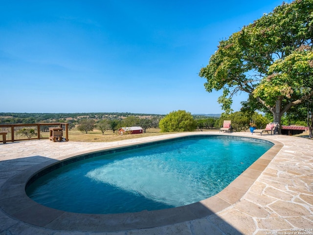 view of pool featuring a patio