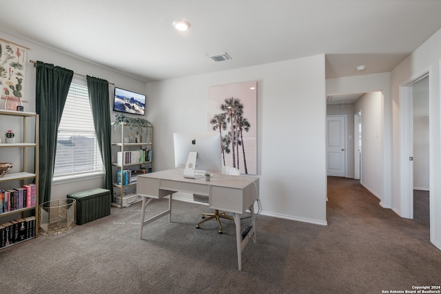 home office featuring carpet floors