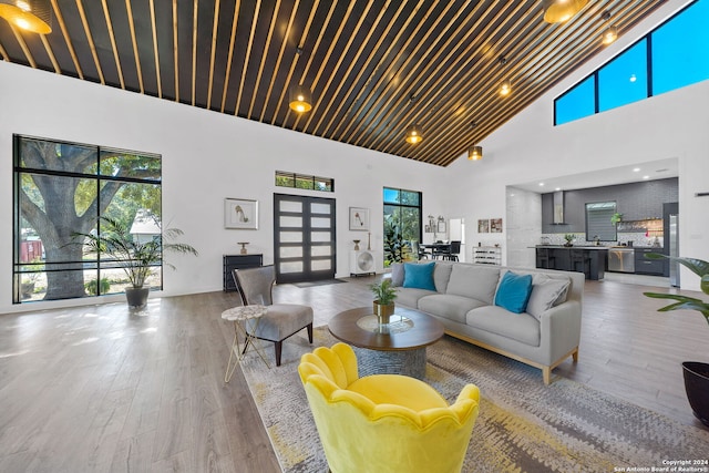 living room featuring high vaulted ceiling and light hardwood / wood-style flooring