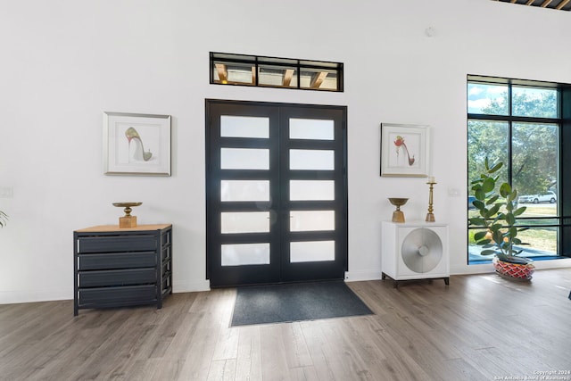 foyer featuring french doors, a healthy amount of sunlight, wood-type flooring, and a high ceiling