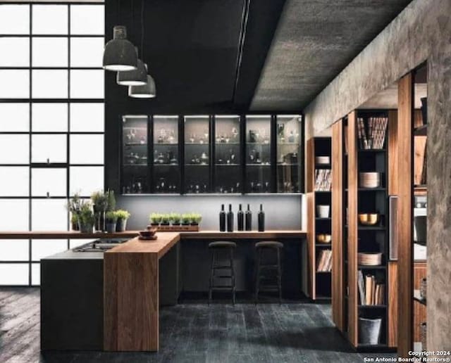 wine cellar featuring dark wood-type flooring