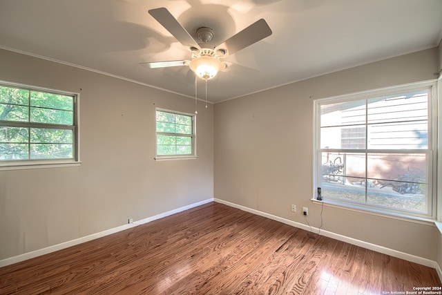 unfurnished room with wood-type flooring, ceiling fan, and crown molding