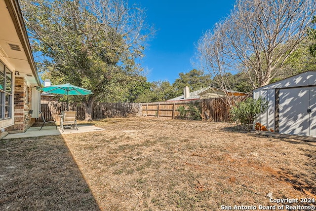 view of yard with a storage unit and a patio area