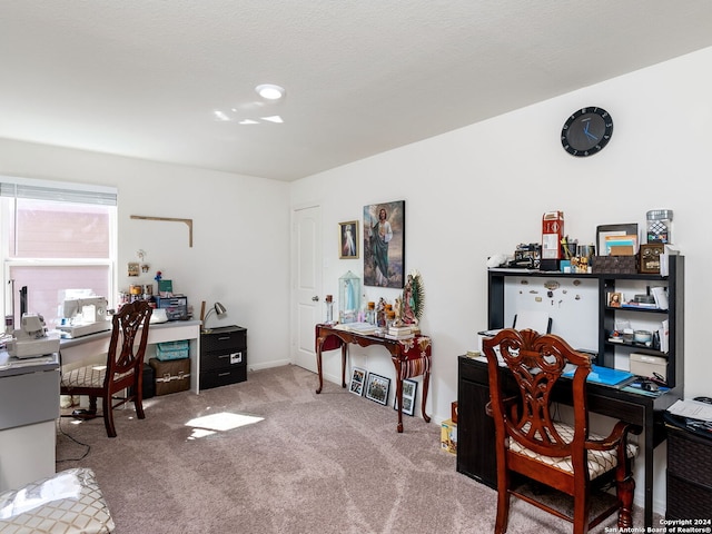 view of carpeted office space