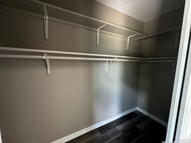 walk in closet with dark hardwood / wood-style flooring