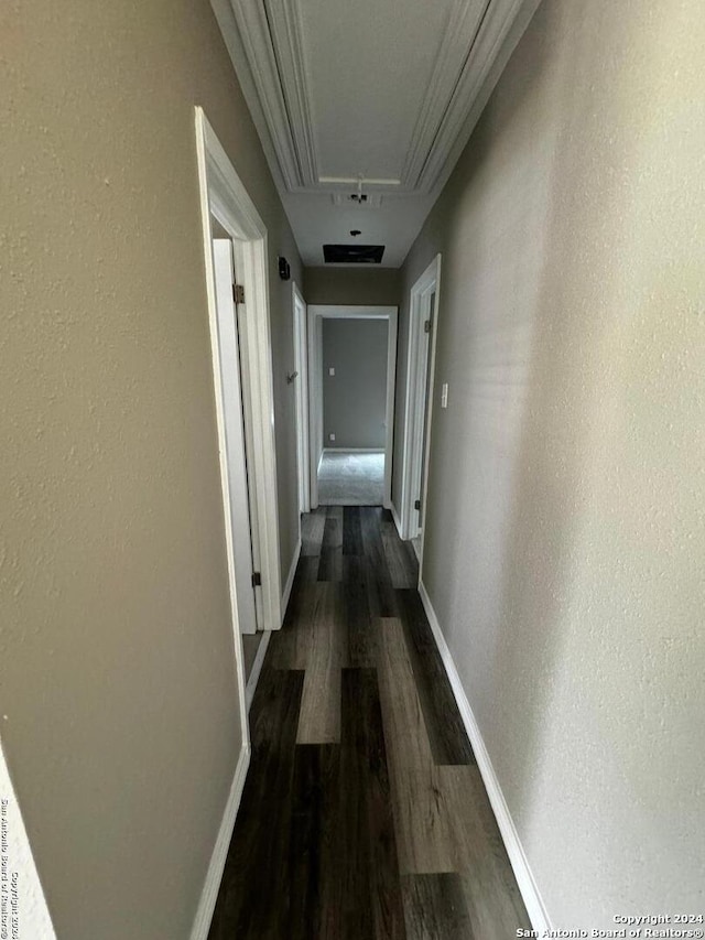 hallway featuring dark hardwood / wood-style floors