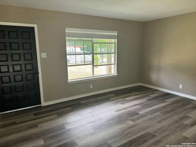 foyer entrance featuring dark hardwood / wood-style floors