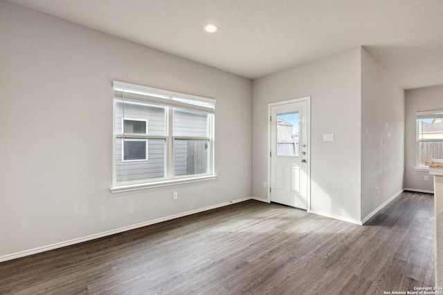 foyer with plenty of natural light and dark wood-type flooring